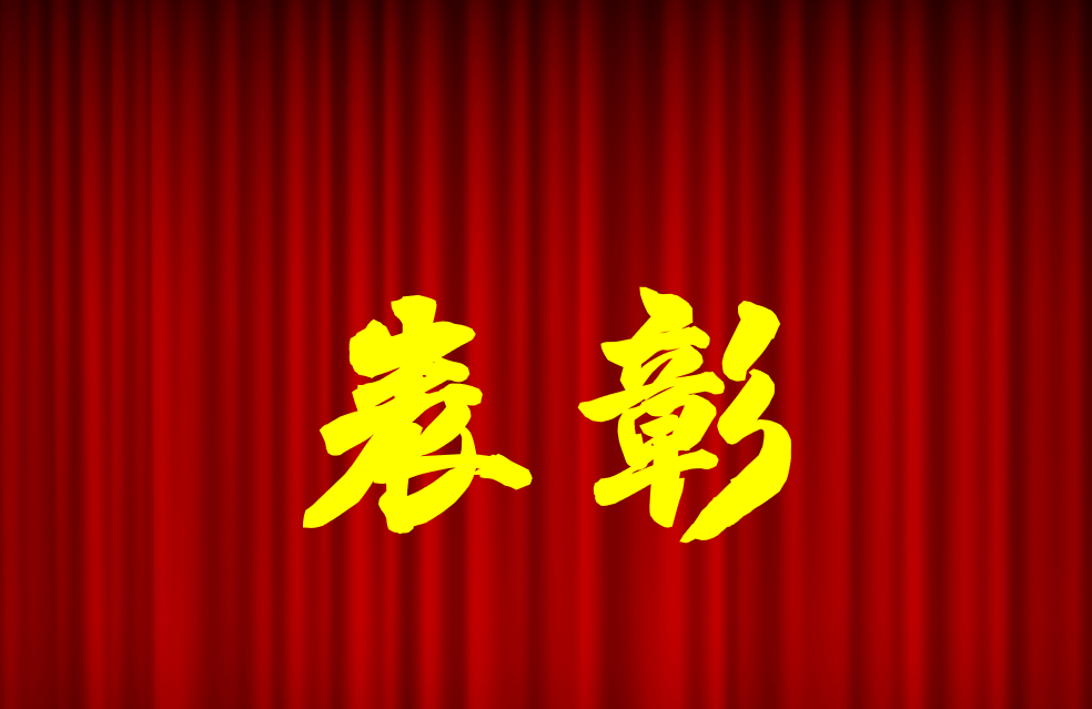 逐光前行、榮耀共鑒 | 公司2024年度表彰來啦！